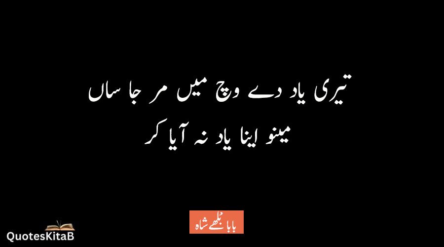 4-Bulley Shah Punjabi Poetry